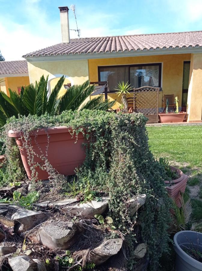 La Luce Del Sinis Villa Riola Sardo Exterior photo
