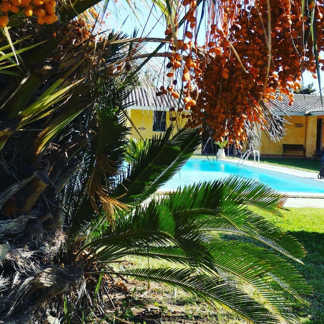 La Luce Del Sinis Villa Riola Sardo Exterior photo